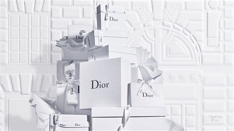 Dior France website